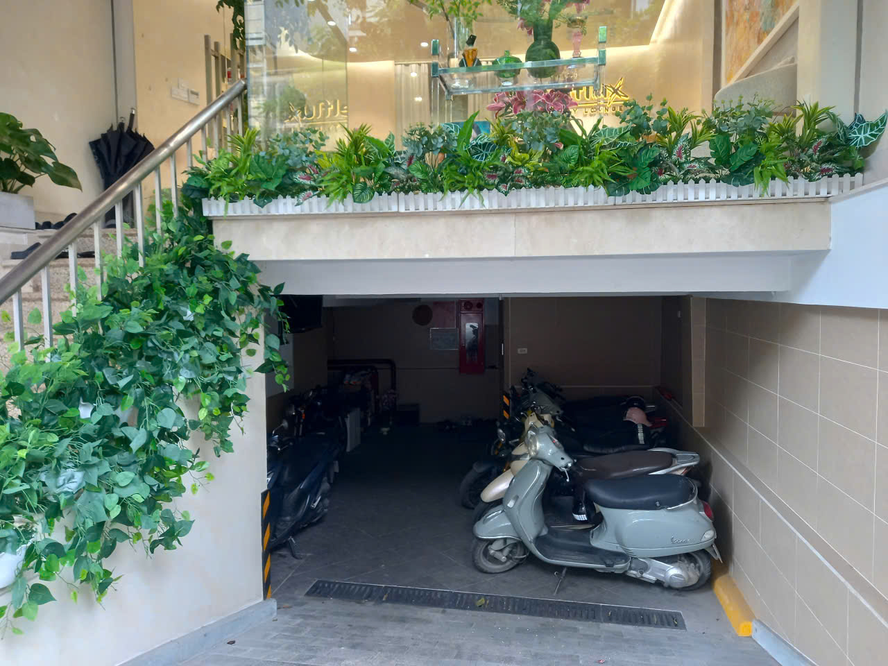 Khách hàng của Vinatrees mua cây giả về trang trí cây xanh văn phòng tại Hai Bà Trưng Hà Nội